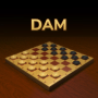 Play Dam