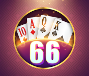 66