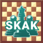Play Skak