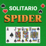 Solitario Spider