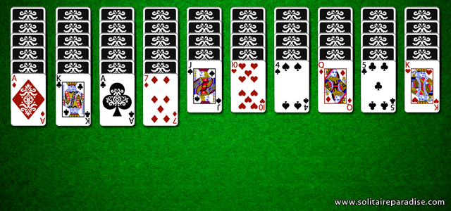 How To Play Spider Solitaire Solitaireparadise Com,Pet Lizard